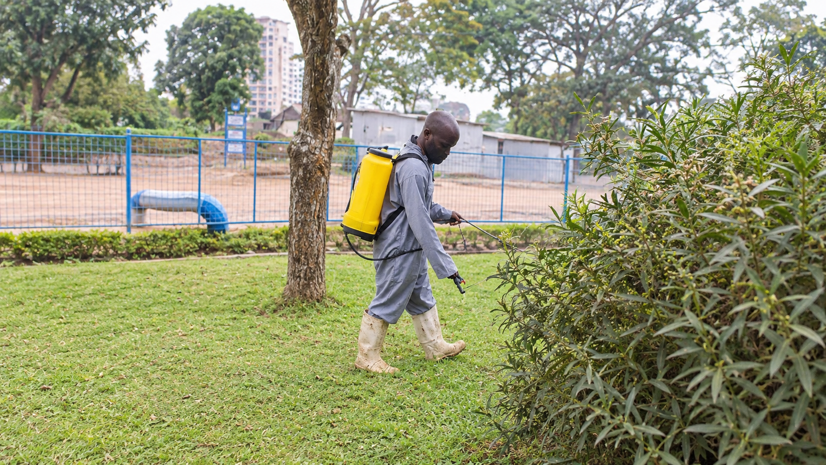 fumigation company in Nairobi